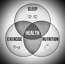 Three-column visual framework showing morning, midday, and evening time segments, each containing movement, nutrition, and rest activities arranged in a structured daily rhythm